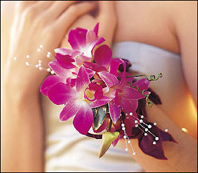 Fuchsia Orchids Wristlet
