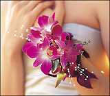 Fuchsia Orchids Wristlet