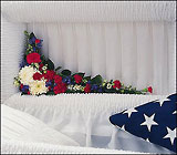 Patriotic Spirit Cluster