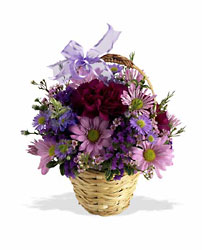 Lavender Flowers - starting at $30