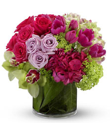Floral Abundance