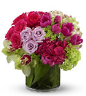 Floral Abundance