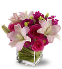 Our Posh Pinks