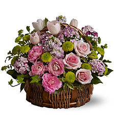 Bella Blooms