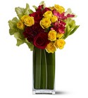 Island Blooms