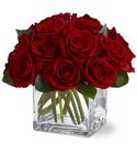 Dozen Rose Contempo