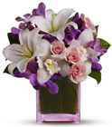 Purple Please