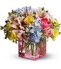 Spring Sweetness