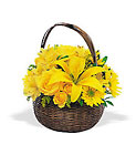 Get Better Basket