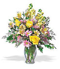 Charmingly Cheerful