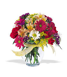 Joyful and Thrilling with Color 