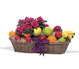 Blooming Azalea Plant & Fresh Fruit Basket