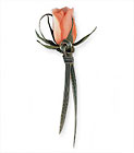 Peach Promise Boutonniere