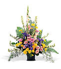 Lovely, Loving Sympathy Tribute