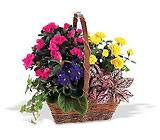 Blooming Garden Basket