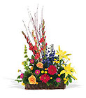Sunshine Sympathy Basket