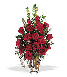 Rose Radiance