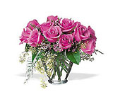 Lavender Roses