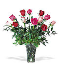 A Dozen Multi-Colored Roses