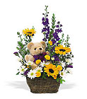 New Baby Basket & Bear