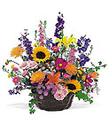 Summertime Sensation Basket