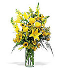 Burst Of Sunshine