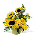 A Pot Of Sunflowers