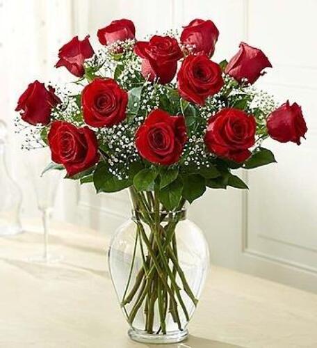 ONE DOZEN RED ROSES from Richardson's Flowers in Medford, NJ