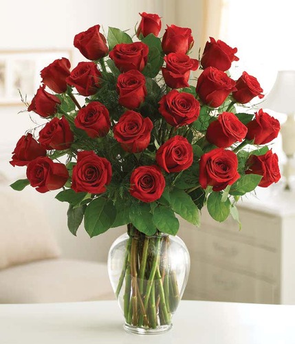 TWO DOZEN RED ROSES  from Richardson's Flowers in Medford, NJ