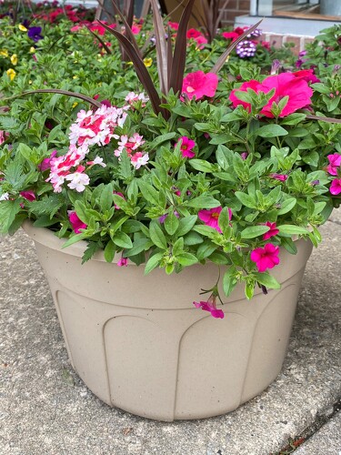 PATIO POT from Richardson's Flowers in Medford, NJ