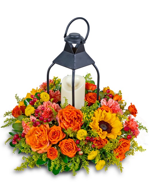 Goldenrod Lantern from Richardson's Flowers in Medford, NJ