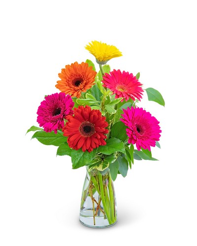 Gleeful Gerbera from Richardson's Flowers in Medford, NJ