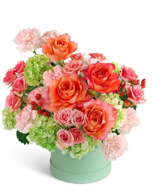 Blooming Matriarch from Richardson's Flowers in Medford, NJ