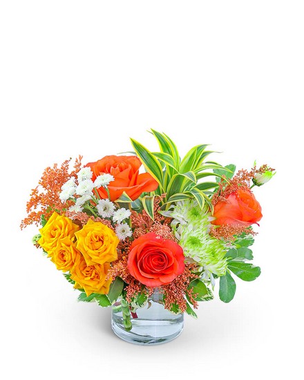 Key West from Richardson's Flowers in Medford, NJ