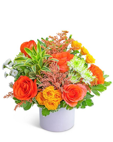Cabana Breeze from Richardson's Flowers in Medford, NJ