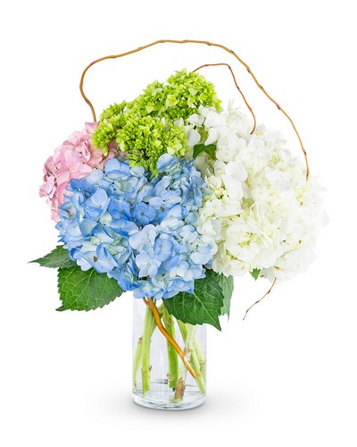 Sweet Hydrangea from Richardson's Flowers in Medford, NJ