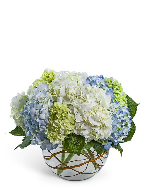 Modern Hydrangea from Richardson's Flowers in Medford, NJ