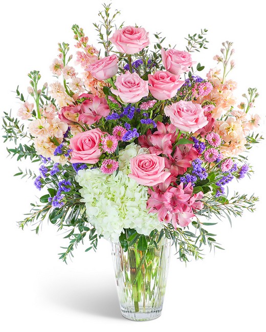 Queen of the Clouds from Richardson's Flowers in Medford, NJ