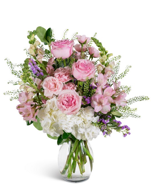 Rosewater Clouds from Richardson's Flowers in Medford, NJ