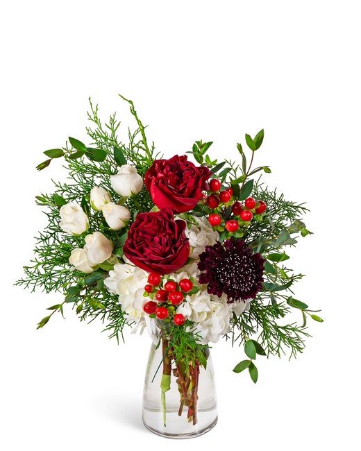 Crimson Lace from Richardson's Flowers in Medford, NJ