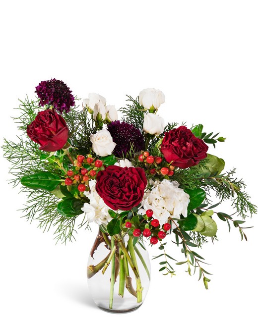 Crimson Frost from Richardson's Flowers in Medford, NJ