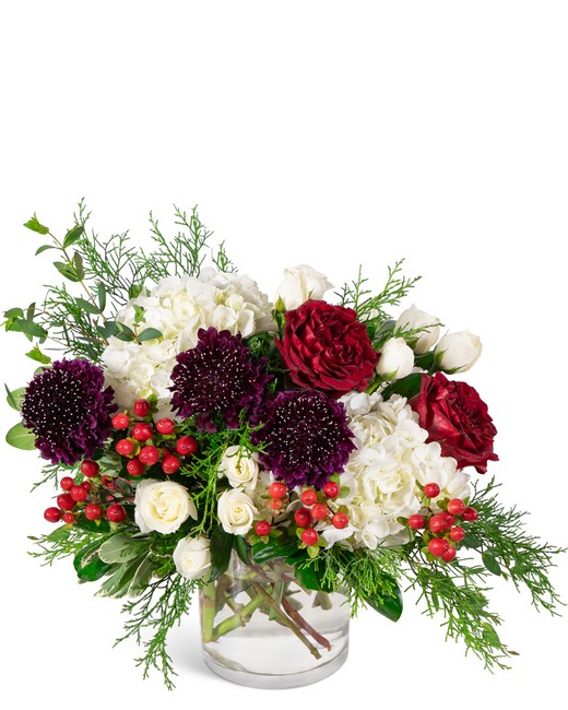 Crimson Frost Cashmere from Richardson's Flowers in Medford, NJ