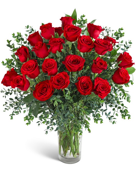 Two Dozen Red Hot Roses from Richardson's Flowers in Medford, NJ