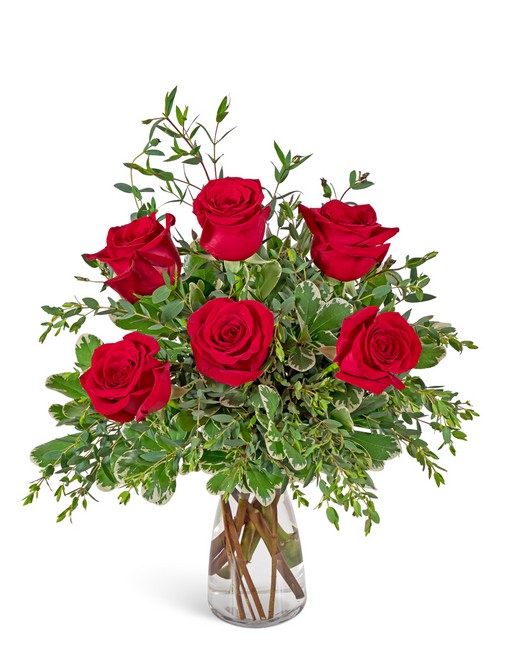 Half Dozen Red Roses from Richardson's Flowers in Medford, NJ