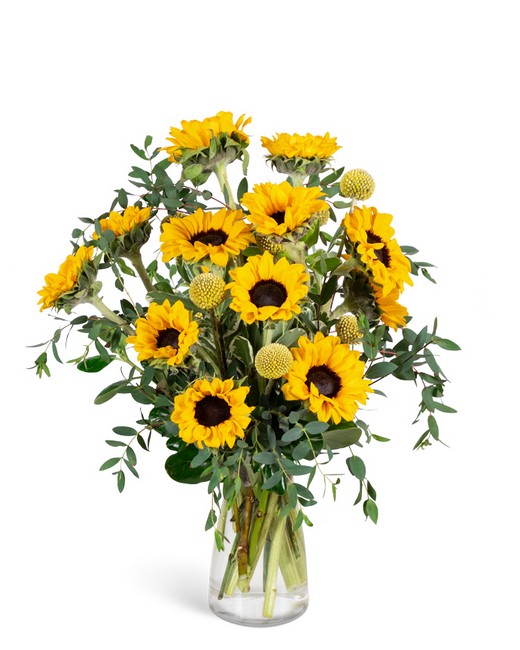 Wildflower Sunshine from Richardson's Flowers in Medford, NJ