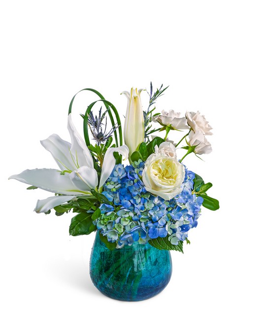 Luna Coast from Richardson's Flowers in Medford, NJ