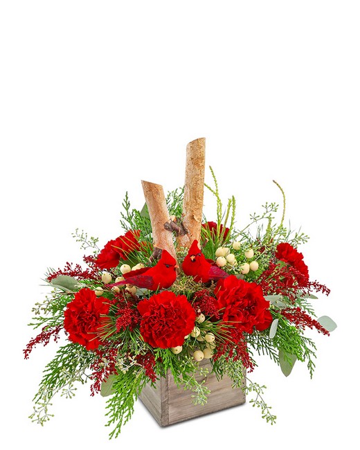 Woodland Cardinal Cheer from Richardson's Flowers in Medford, NJ