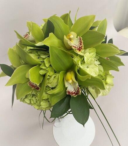 Green Cymbidium Orchid Clutch  from Richardson's Flowers in Medford, NJ