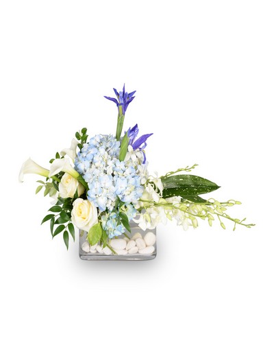 Promise from Richardson's Flowers in Medford, NJ