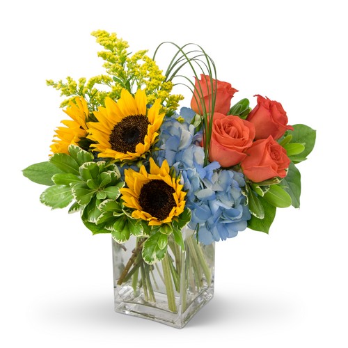 Summer Fun from Richardson's Flowers in Medford, NJ